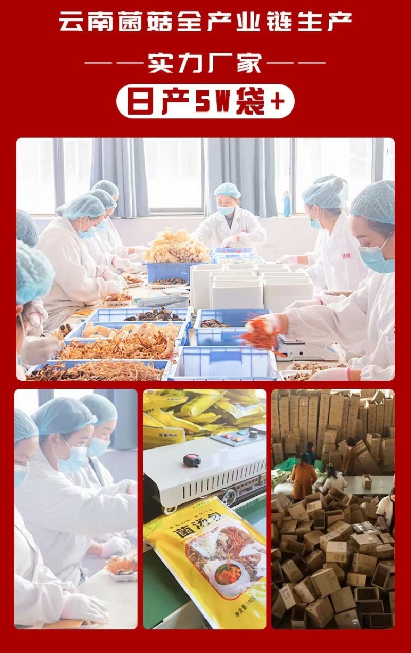 2024新款系列菌汤包突破传统汤包形式，不仅仅是喝云南菌