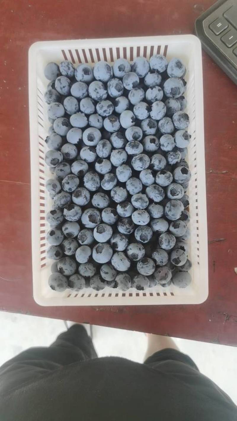 新鲜蓝莓