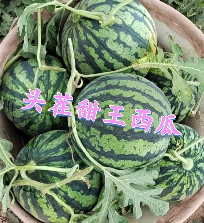 济宁头茬甜王西瓜，大棚西瓜，甜度13+，产地一手货源批发