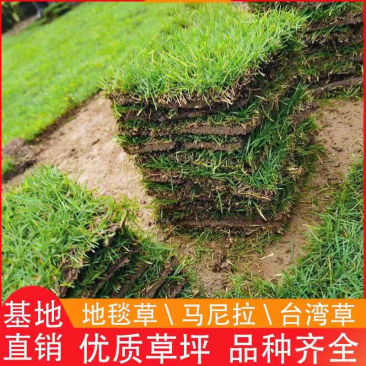 草皮