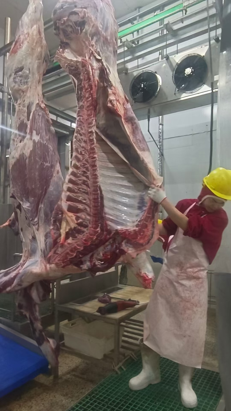 纯干鲜牛肉质量保证源头厂家直发拒绝中间商赚差价