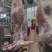 纯干鲜牛肉质量保证源头厂家直发拒绝中间商赚差价