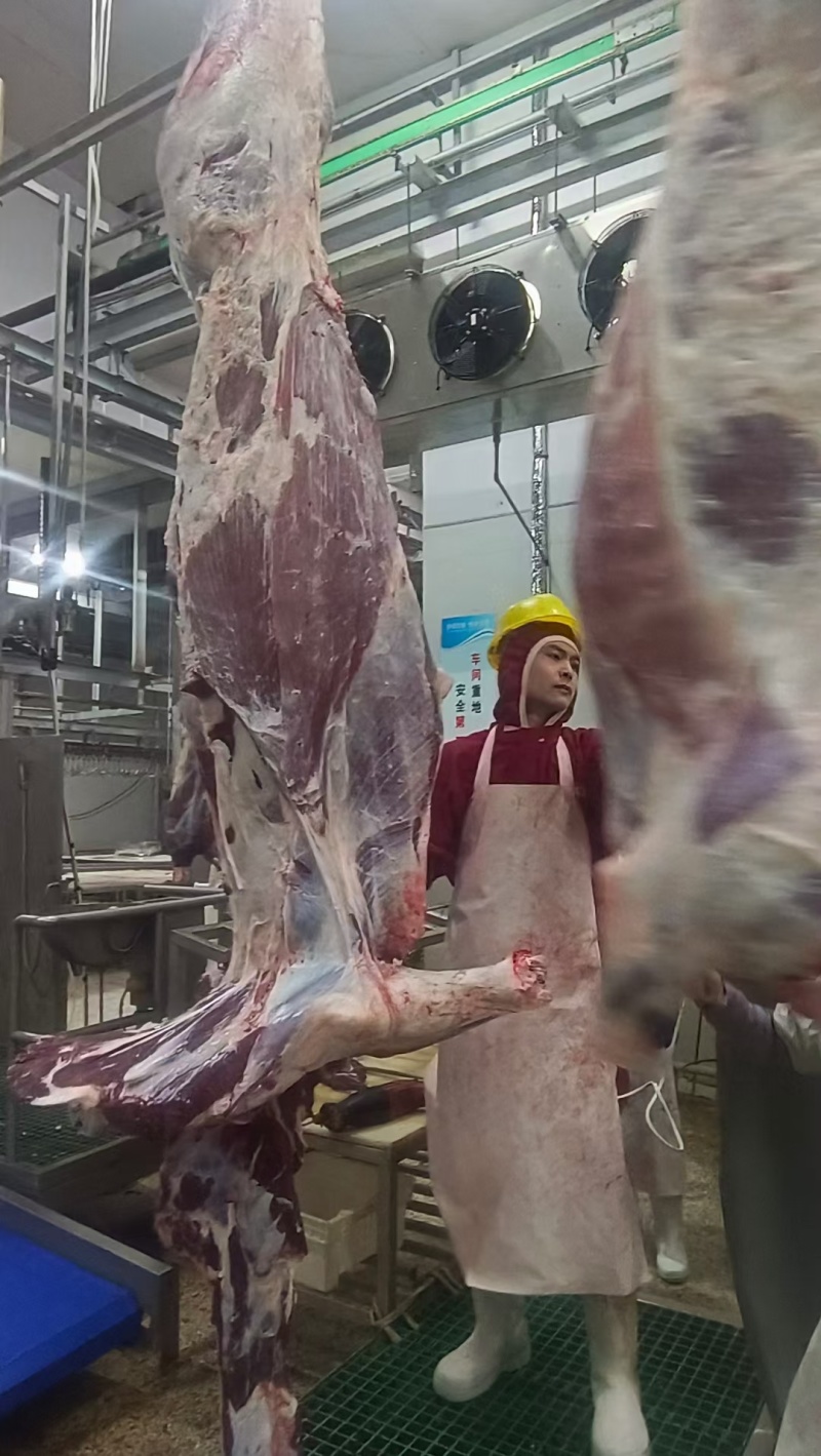 纯干鲜牛肉质量保证源头厂家直发拒绝中间商赚差价