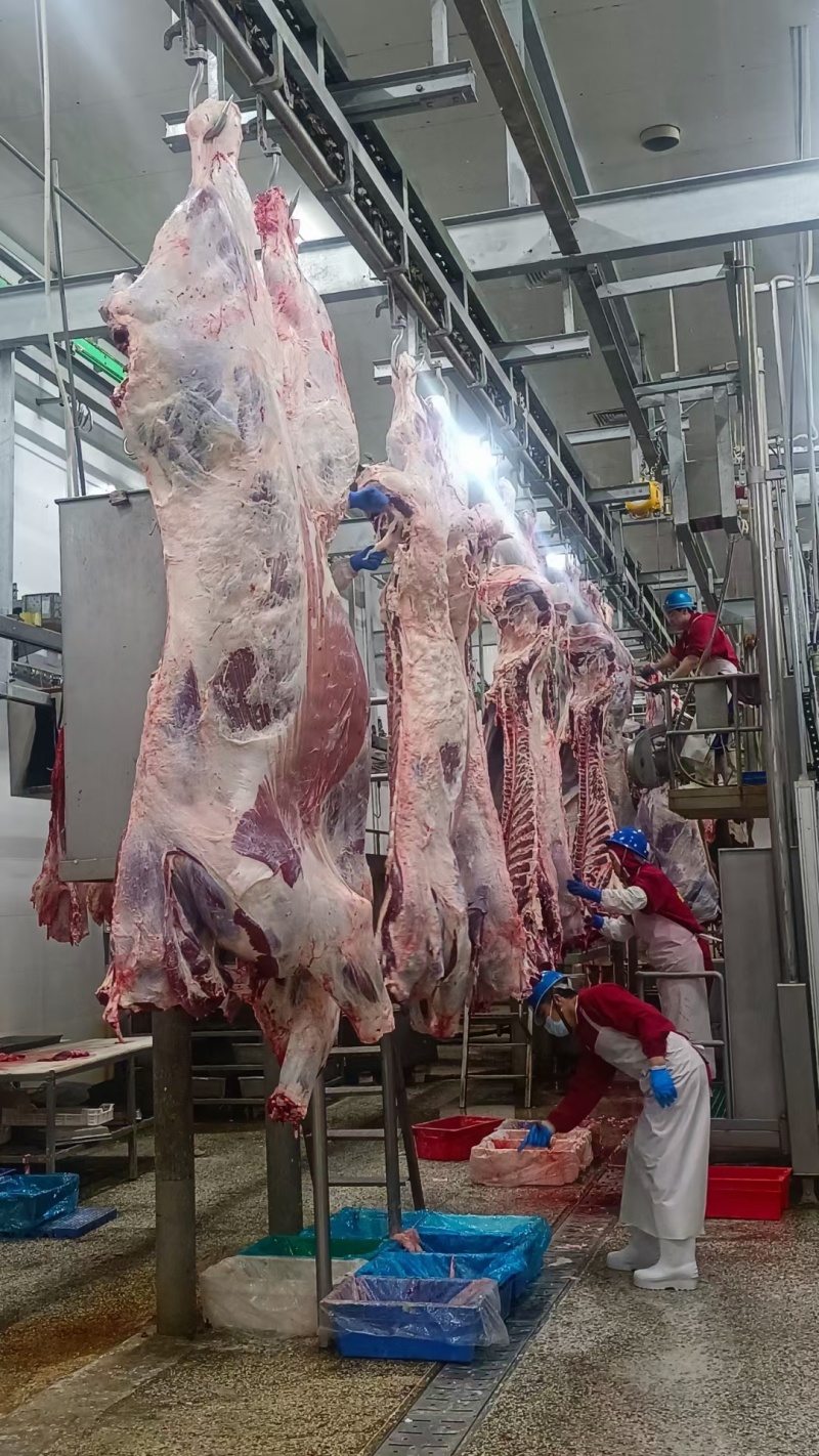 纯干鲜牛肉质量保证源头厂家直发拒绝中间商赚差价