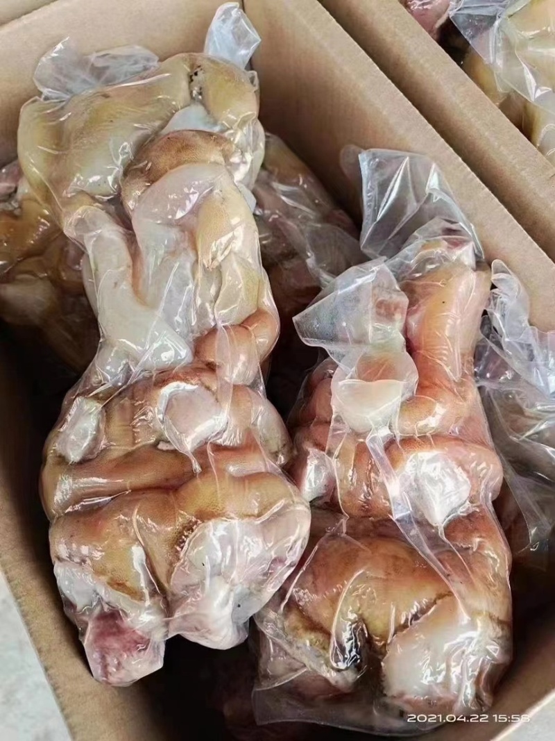 优质熟牛蹄全熟质量保证可供应电商批发商餐饮商超