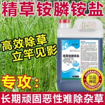 10斤精草铵膦铵盐除草剂果园荒地牛筋草小飞蓬专用杀草剂