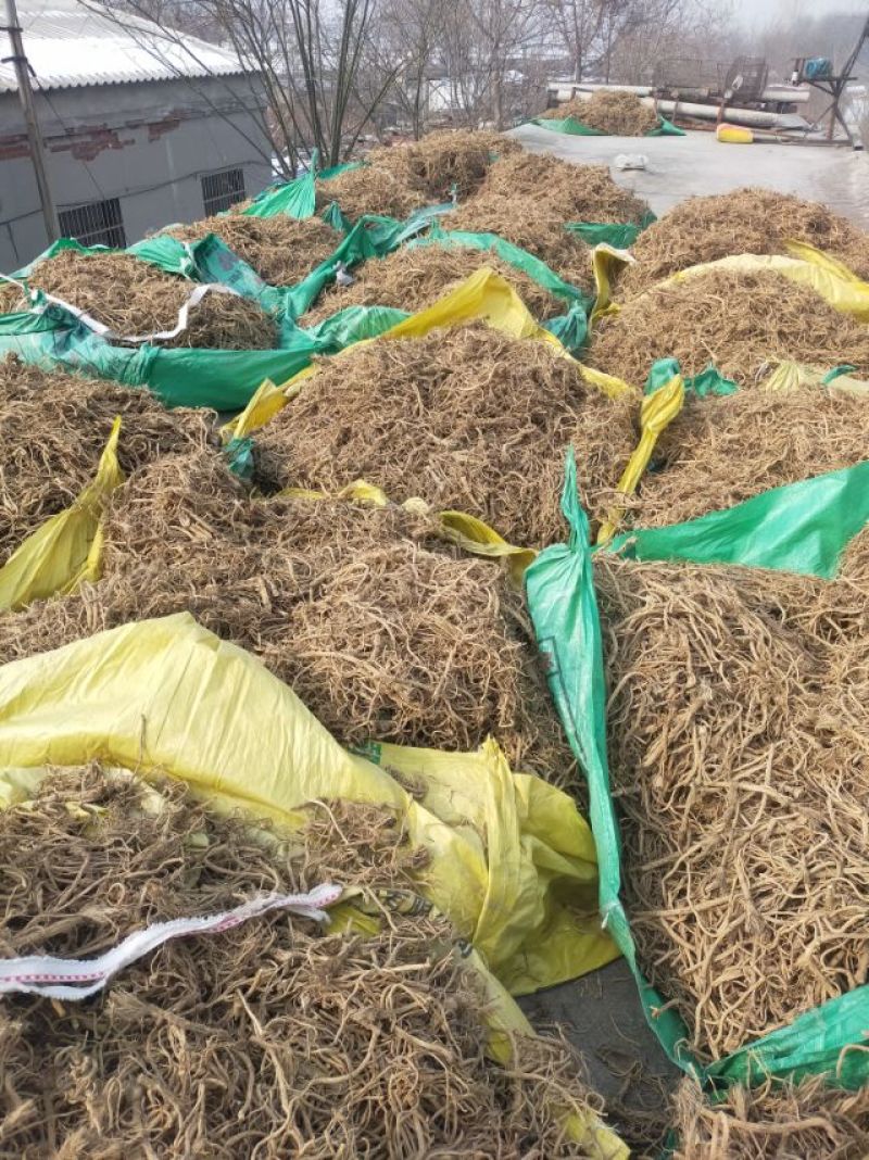 河北，中药材防风大量有货，产地直销，代收代卖，大量走货