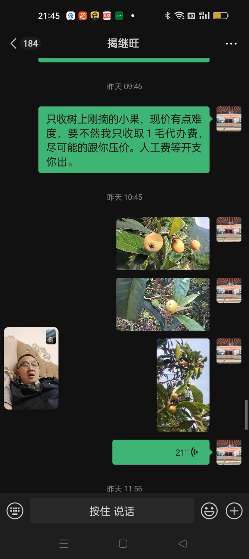 枇杷