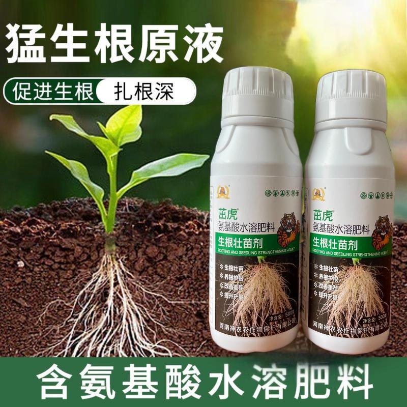 茁虎生根壮苗剂，氨基酸水溶肥，生根壮苗养根护根改善重茬提升产