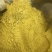 蒲黄中药材正宗蒲黄粉野生蒲黄花粉细腻东北