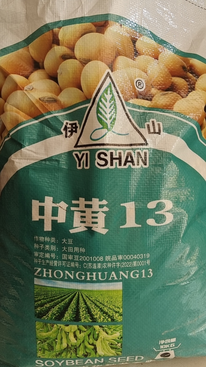 黄豆种子大豆千斤豆种子高产稳产旱四季早春大田春夏播种