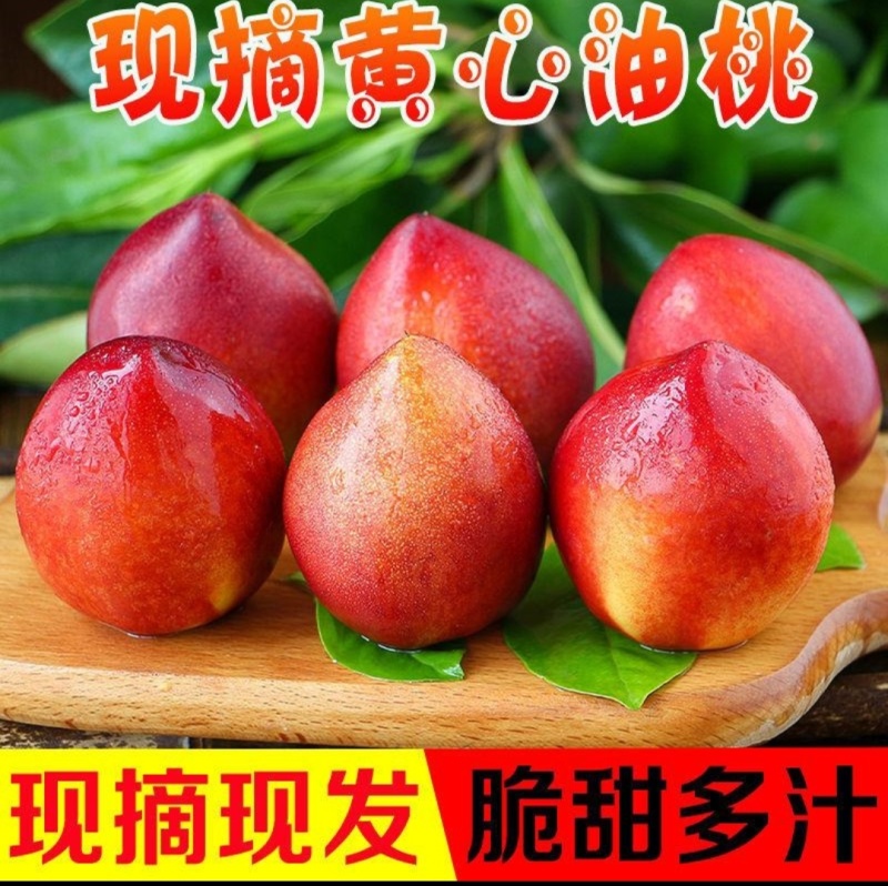精品曙光黄肉油桃.春雷.杠一黄肉油桃。对接电商，商超批发