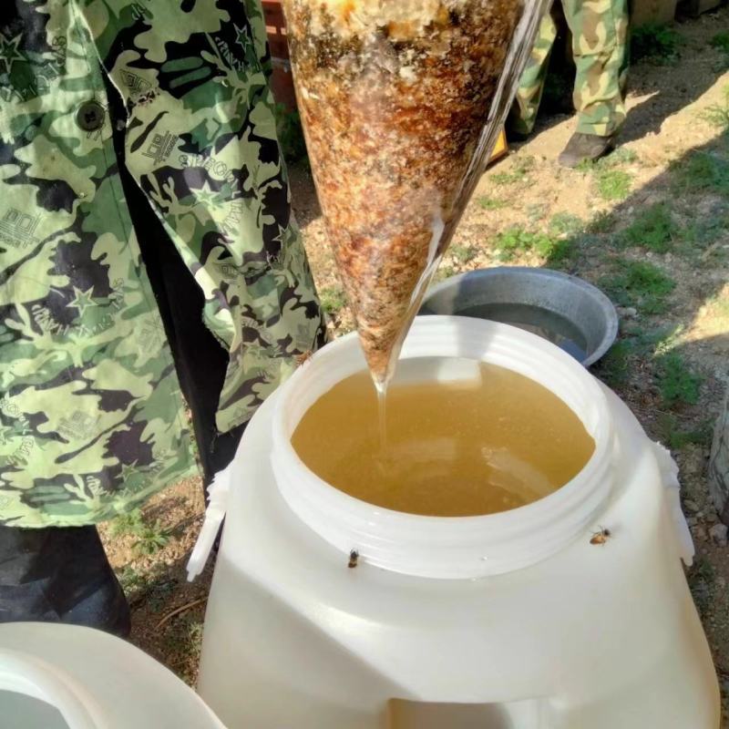 蜂蜜大量供应槐花蜂蜜。量大从优，保质保量对接全国市场。