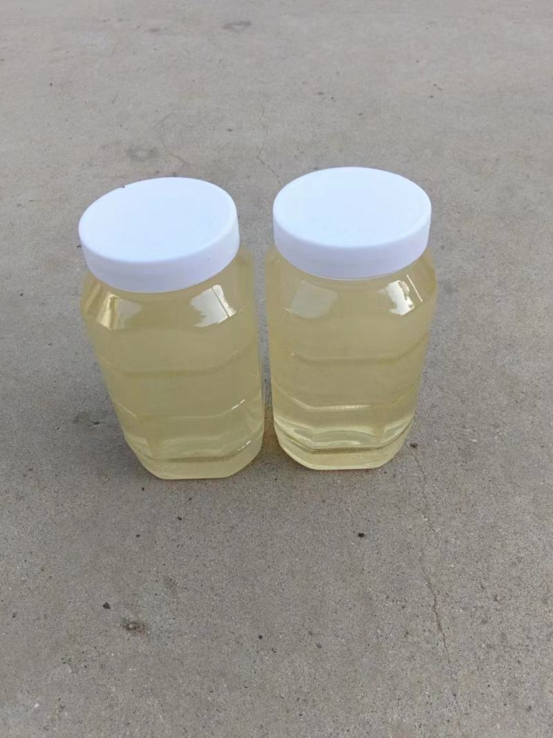 精品蜂蜜，槐花蜜大量供应，自产自销，量大从优，批发零售