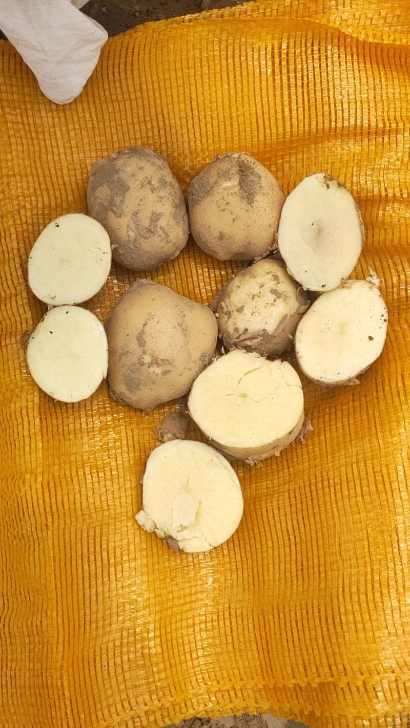大西洋，湖北大量上市