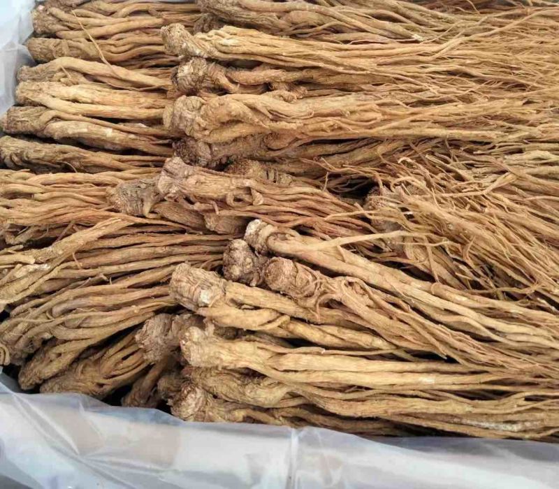 当归**24小时在线服务全国供应***健康放心购