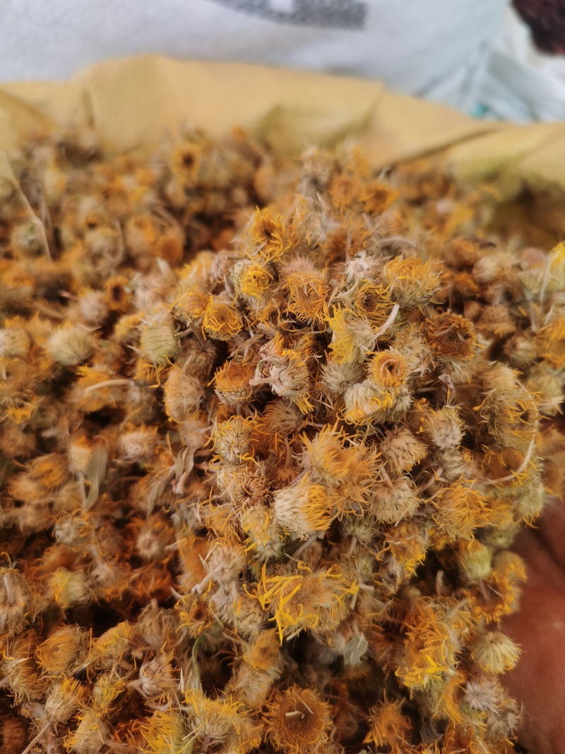旋覆花新货旋覆花颜色好批发零售各种规格中药材