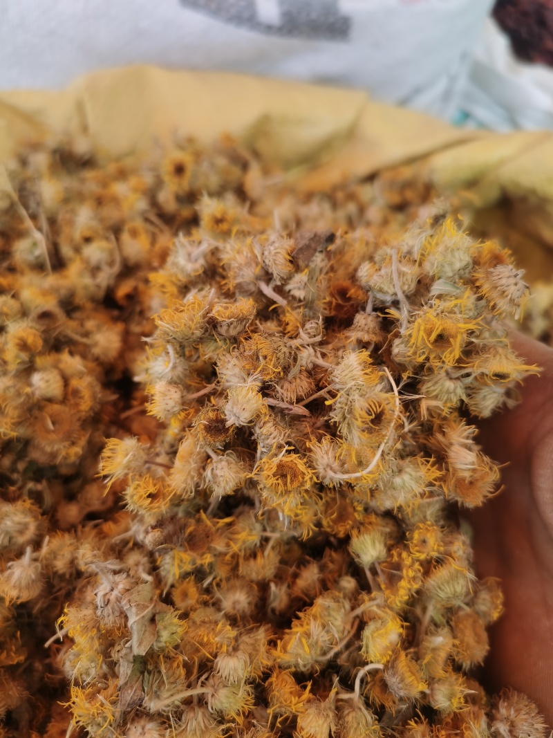 旋覆花新货旋覆花颜色好批发零售各种规格中药材