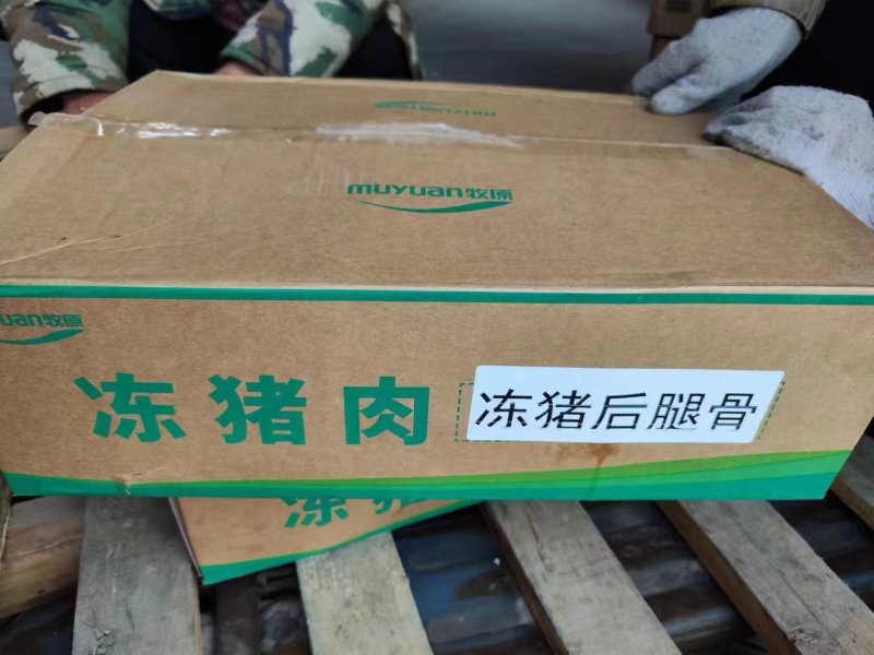 牧原猪后腿骨