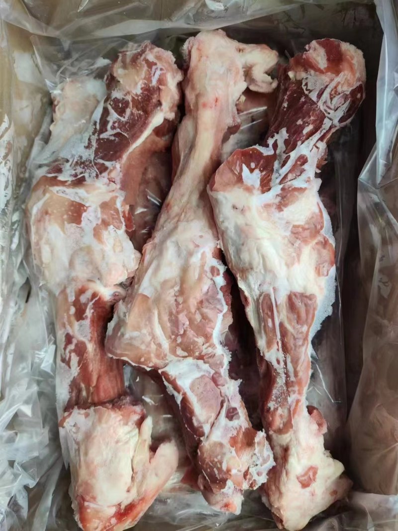 牧原猪后腿骨