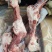 牧原猪后腿骨