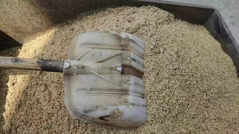 用小铁锅炒熟的熟白芝麻，出油率好，油质干净，香