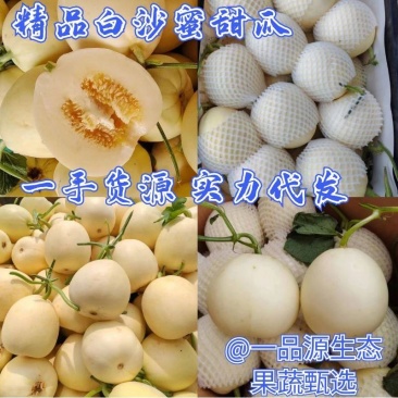 精品白莎蜜甜瓜小白瓜皮薄脆甜对接电商市场
