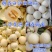 精品白莎蜜甜瓜小白瓜皮薄脆甜对接电商市场