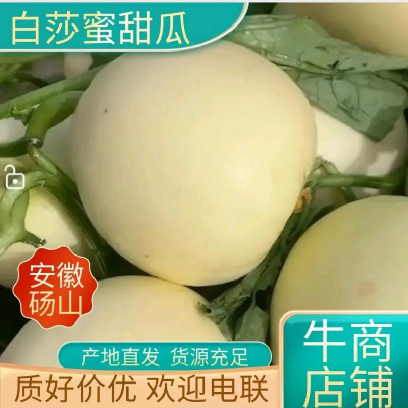 精品白莎蜜甜瓜小白瓜皮薄脆甜对接电商市场