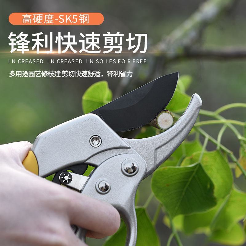 果树修枝剪刀分段式专业省力园艺修剪树枝园林修花枝剪粗枝剪子