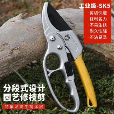 果树修枝剪刀分段式专业省力园艺修剪树枝园林修花枝剪粗枝剪