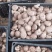 鲜香菇精品香菇大量供应中产地直发品质保障量大优惠