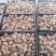 鲜香菇精品香菇大量供应中产地直发品质保障量大优惠
