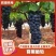 山东菏泽单县夏黑葡萄乒乓球无核葡萄物美价廉代发大量有货