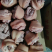 半成品肘子，直接下锅全国发货