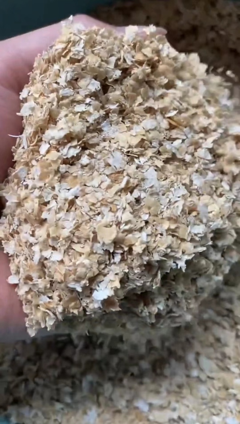 大片麦麸，产地直发，保质保量，欢迎老板前来采购！