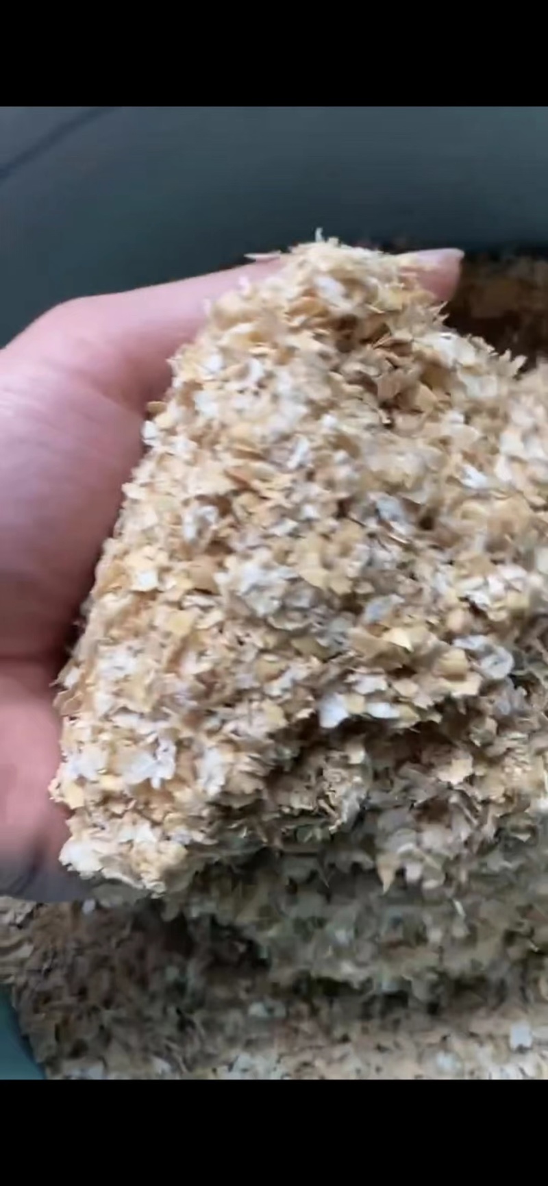 大片麦麸，产地直发，保质保量，欢迎老板前来采购！