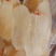 天麻片一级大片选装天麻片批发零售各种规格中药材