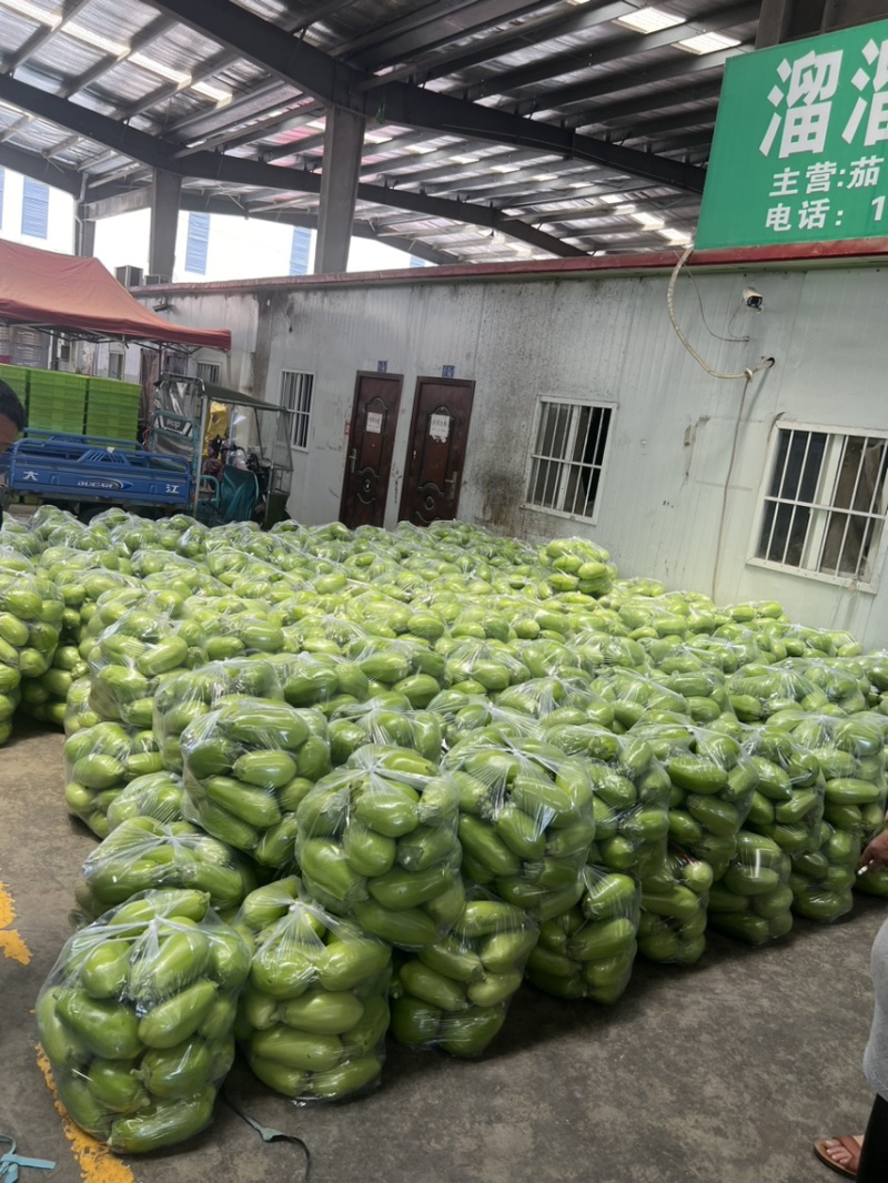 青茄子