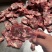 1113满肉牛脖骨