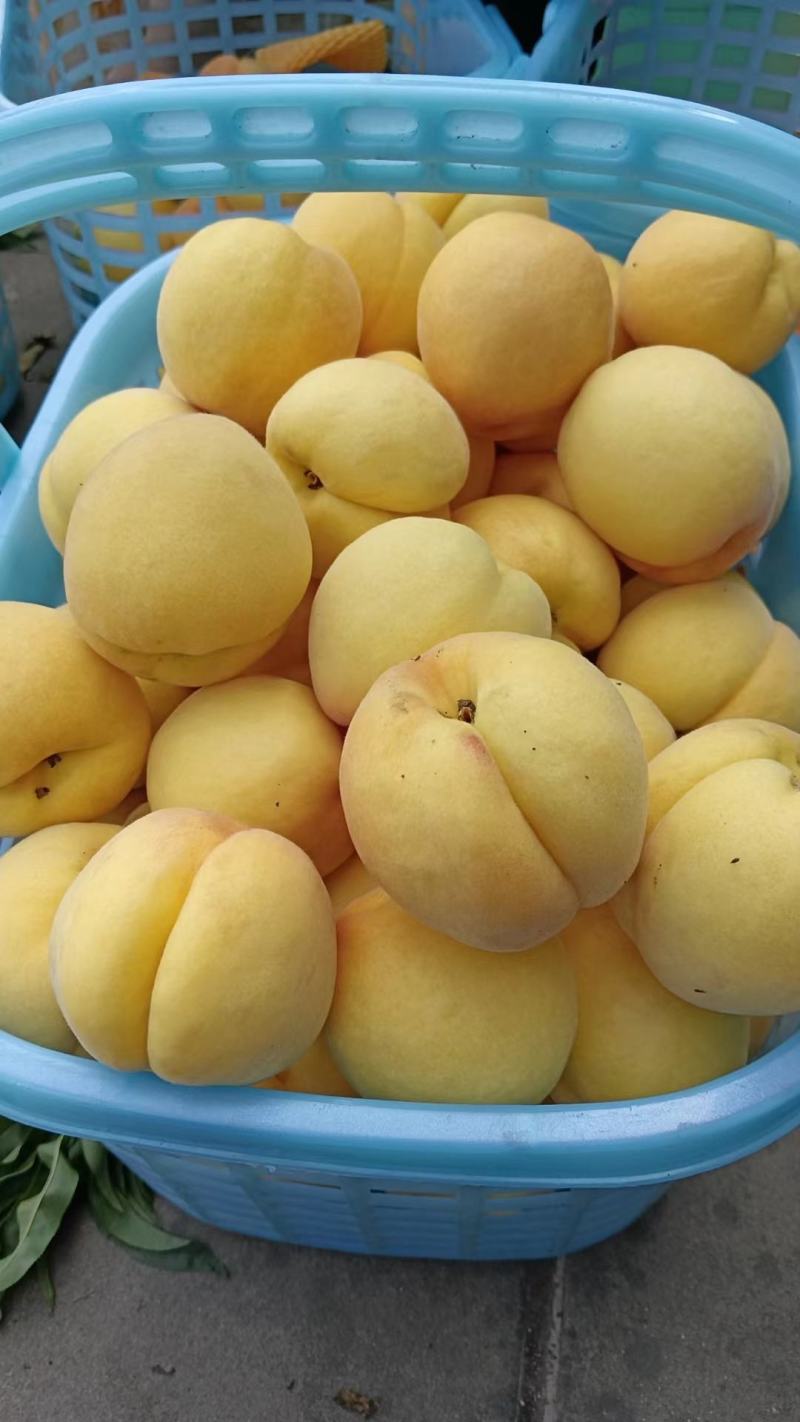 黄桃