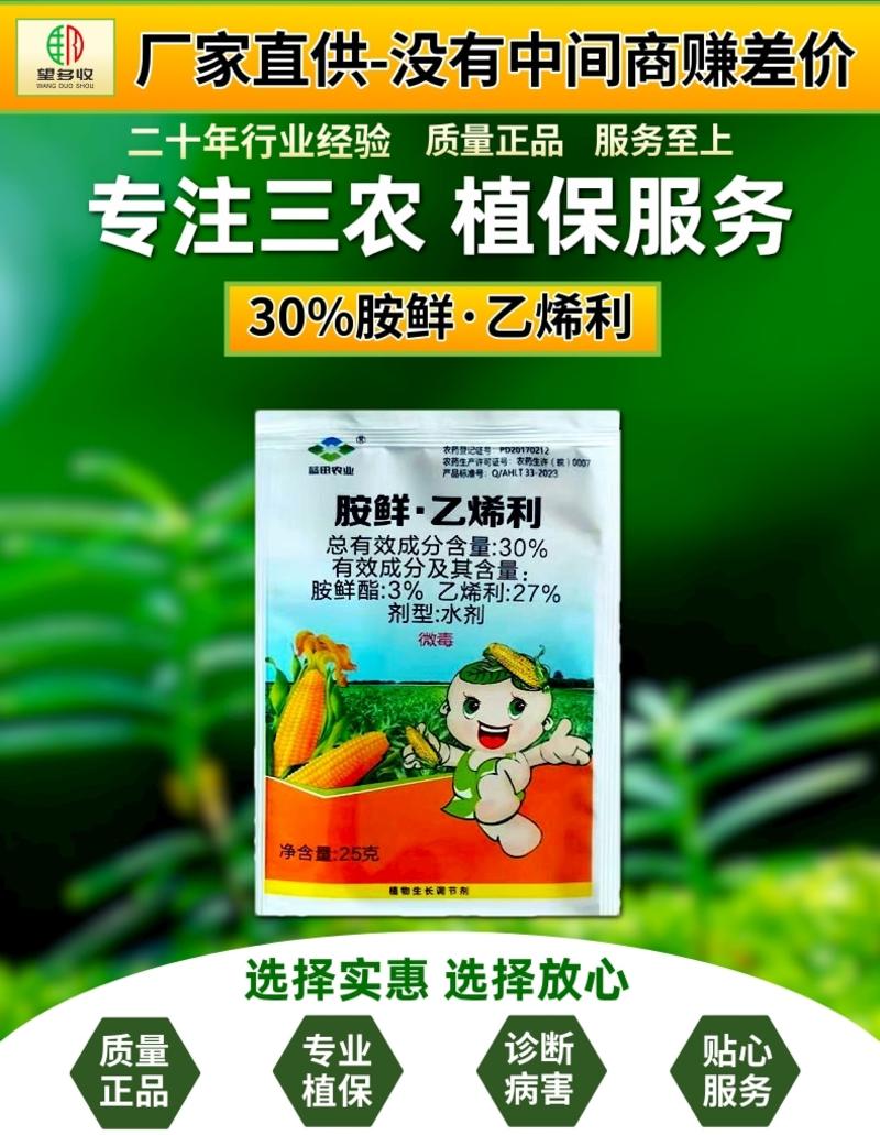 30%胺鲜乙烯利玉米专生长调节剂玉米控旺缩节矮化增产抗倒