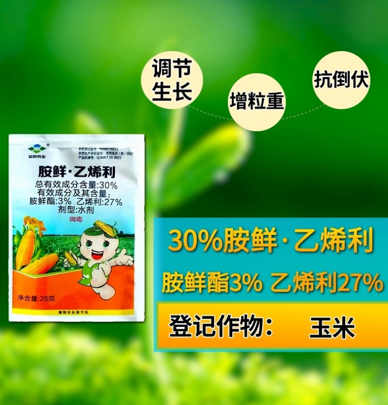 30%胺鲜乙烯利玉米专生长调节剂玉米控旺缩节矮化增产抗倒