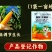 30%胺鲜乙烯利玉米专生长调节剂玉米控旺缩节矮化增产抗倒