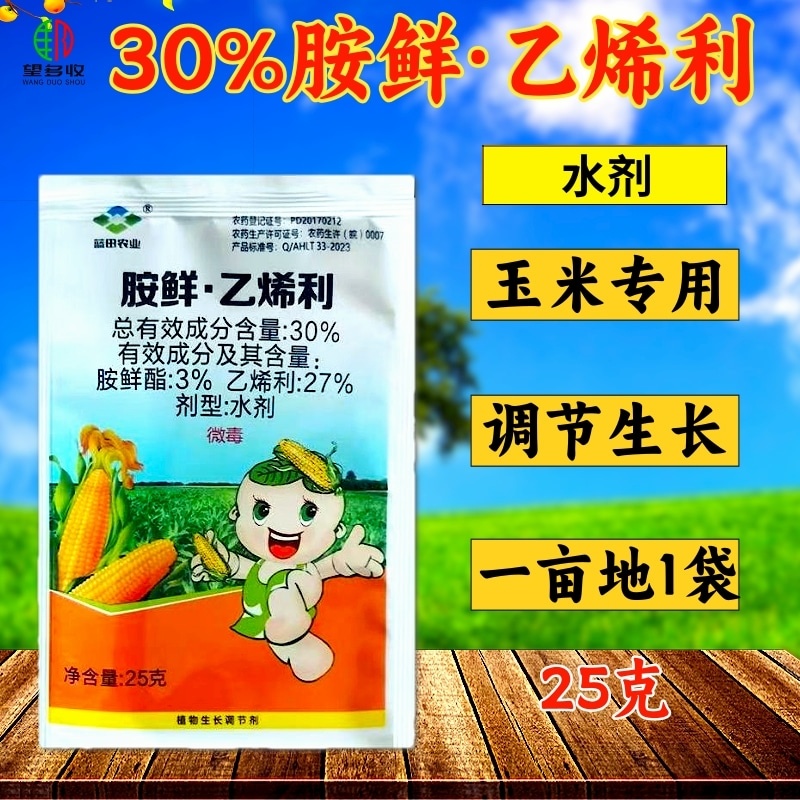 30%胺鲜乙烯利玉米专生长调节剂玉米控旺缩节矮化增产抗倒