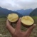 湖南黄心土豆，