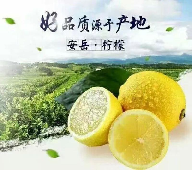 柠檬