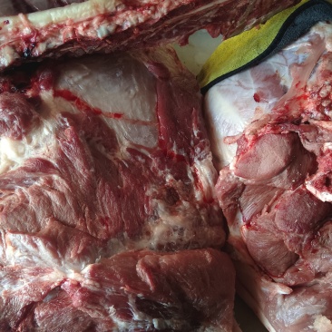 新鲜美味猪前腿肉大量批发