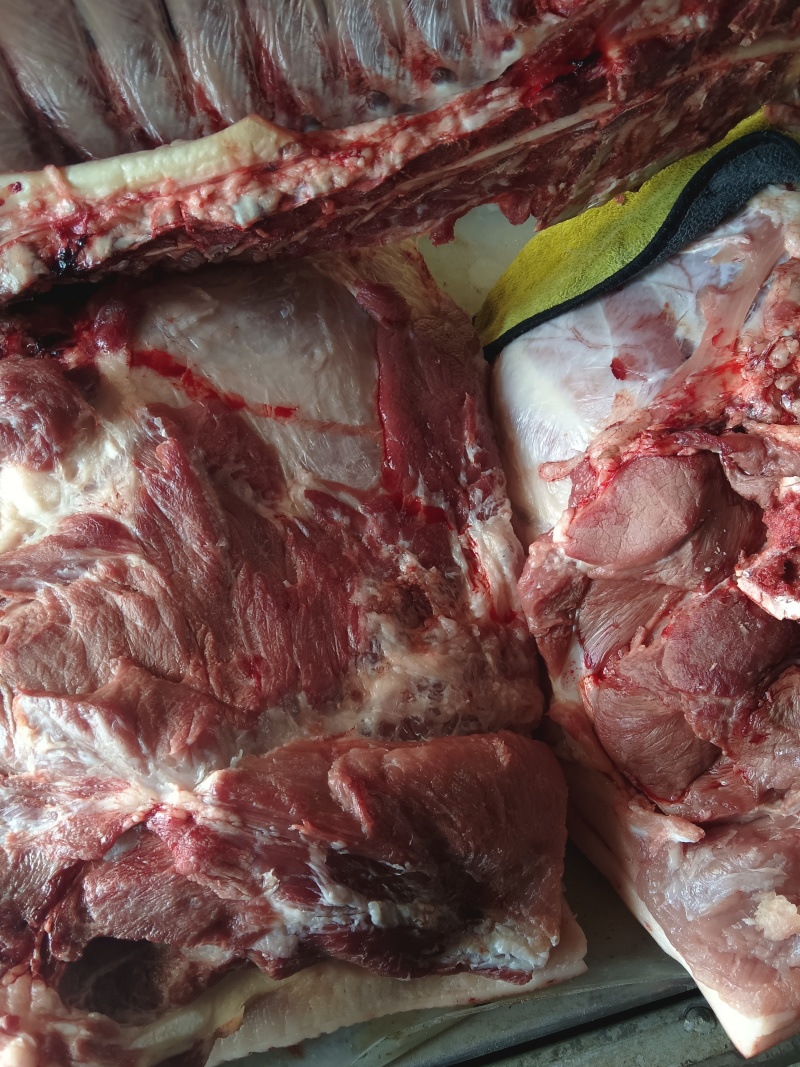 新鲜美味猪前腿肉大量批发