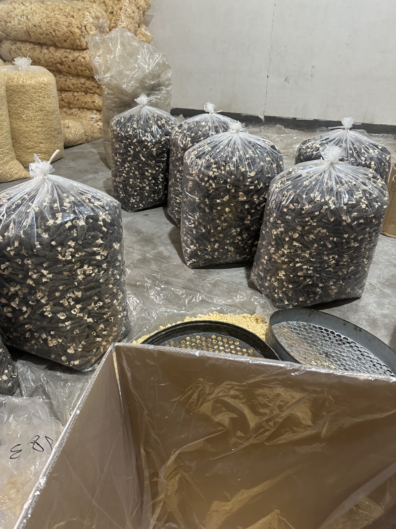 福建古田羊肚菌基地供应大量有货价格优惠欢迎咨询